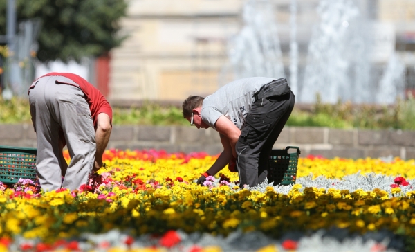 Gartenarbeiter auf einem Blumenbeet, dts Nachrichtenagentur