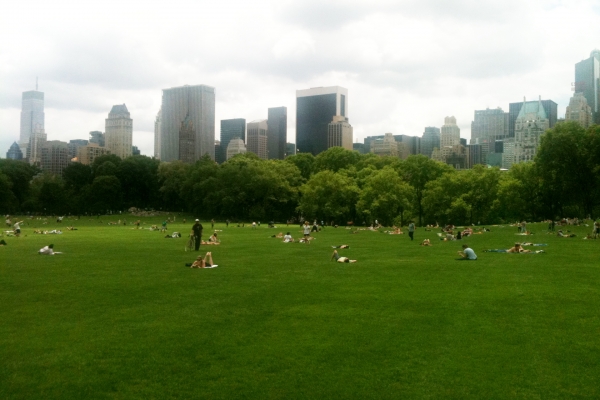 Central Park in New York, über dts Nachrichtenagentur