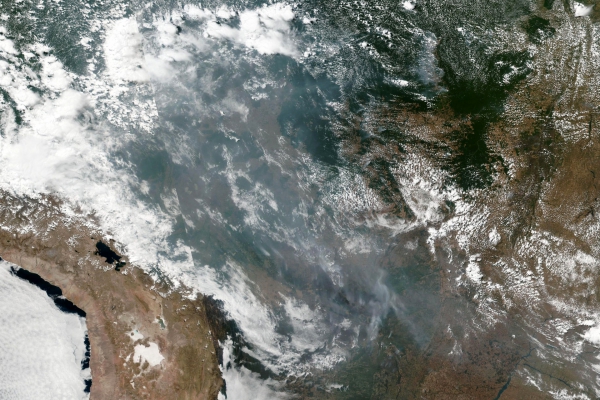 Satellitenbild von Waldbränden in Brasilien, NASA/EOSDIS, über dts Nachrichtenagentur