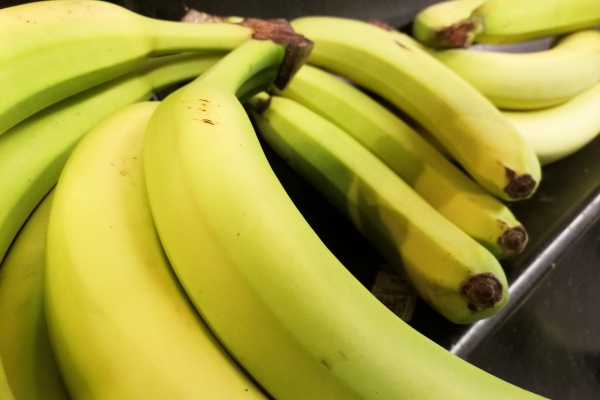 Foto: Bananen in einem Supermarkt, über dts Nachrichtenagentur