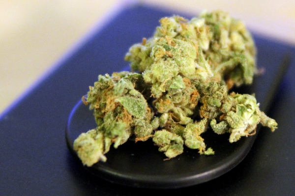 Foto: Cannabis, über dts Nachrichtenagentur